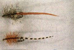 K49 - B7R LongTailed Wooly Booger - R&W LongTailed Wooly Booger - 2 for $5